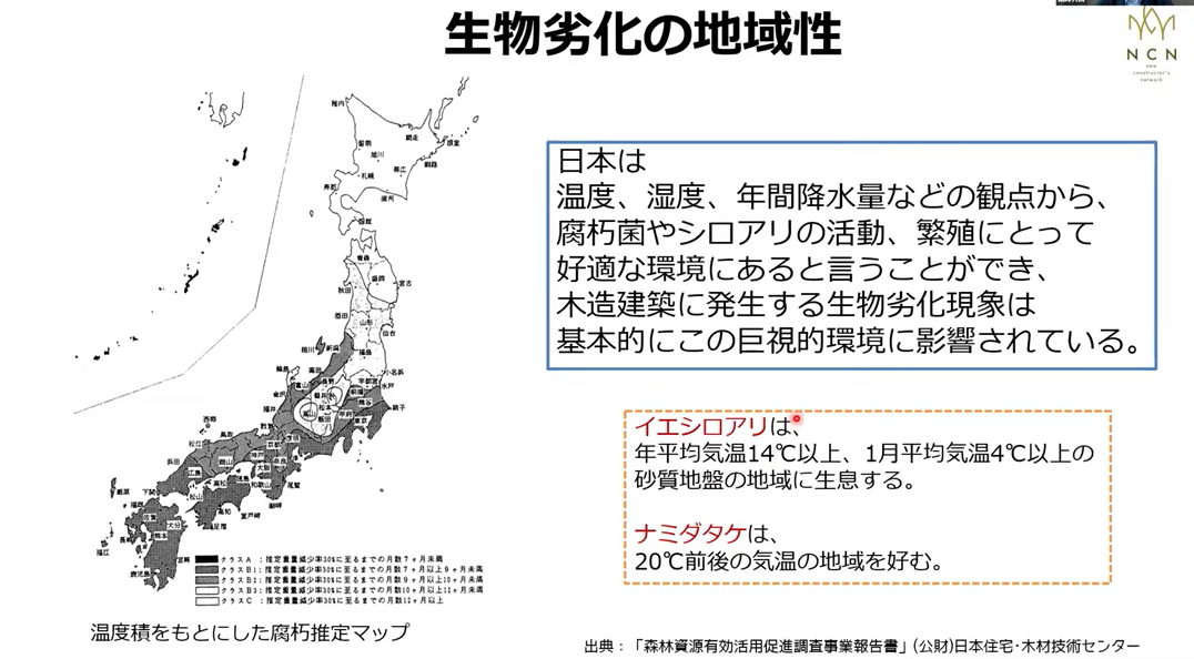 大規模木造で知っておきたい木材の生物劣化への対策