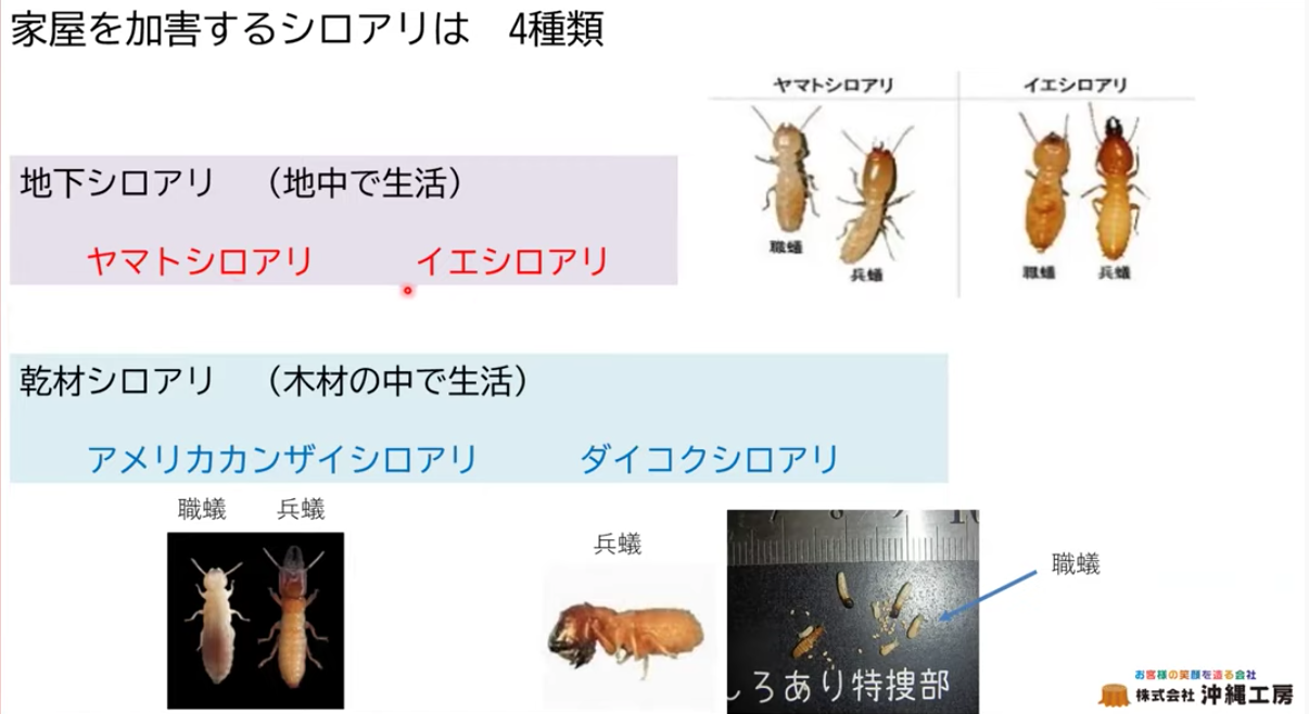 大規模木造の耐久性で重要となる基礎まわりの対策