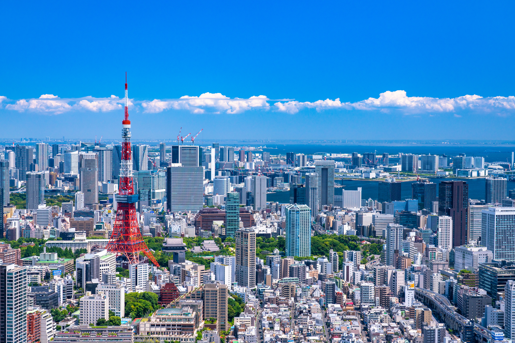 SDGs、脱炭素の流れで、都市や建築は木造化の時代に