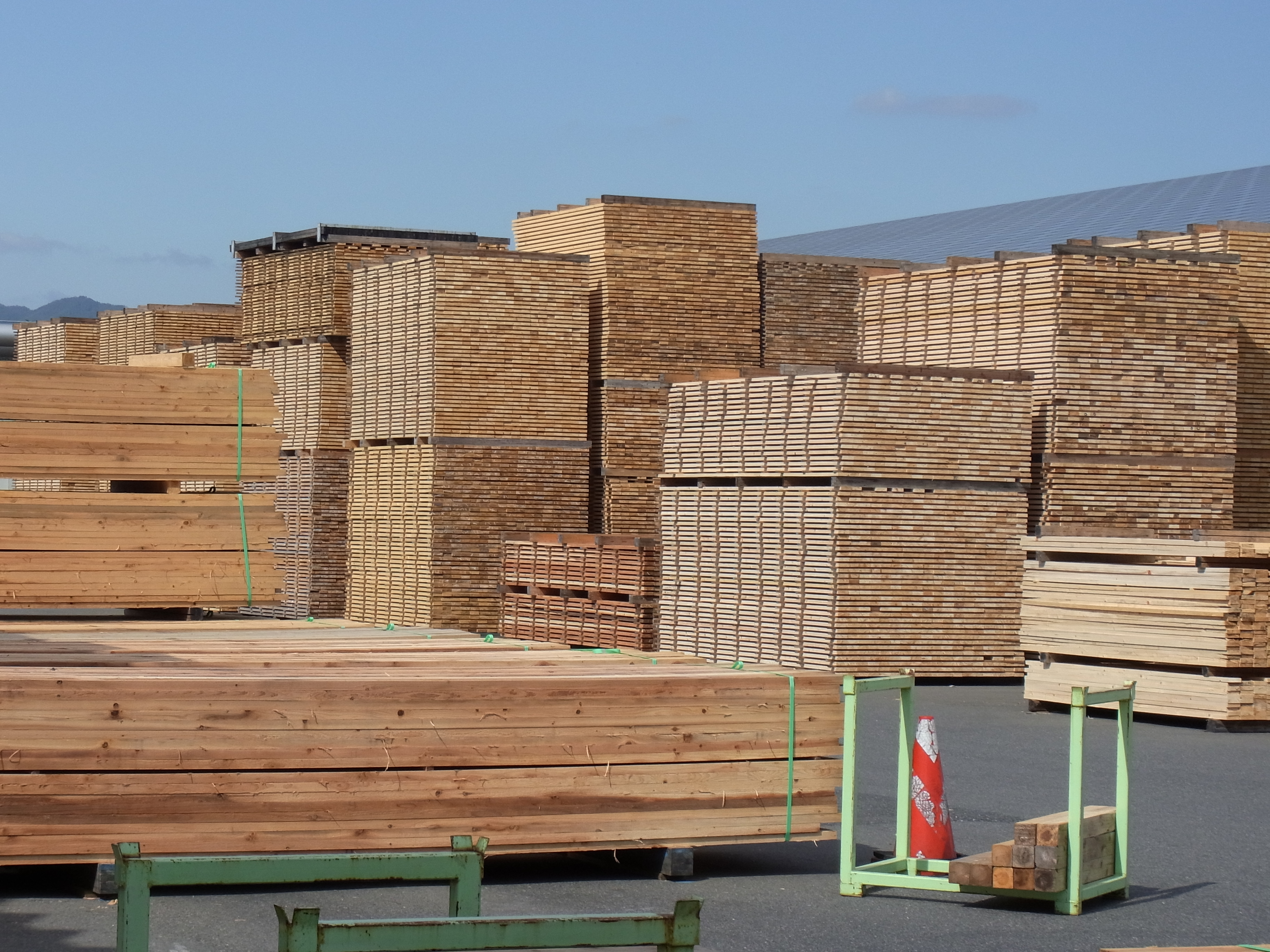 大規模木造で知っておきたい森林認証制度1（FSC）