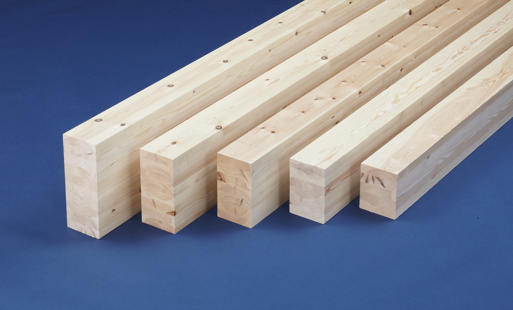 建設会社も扱いやすい。大規模木造におけるSE構法の構造用集成材