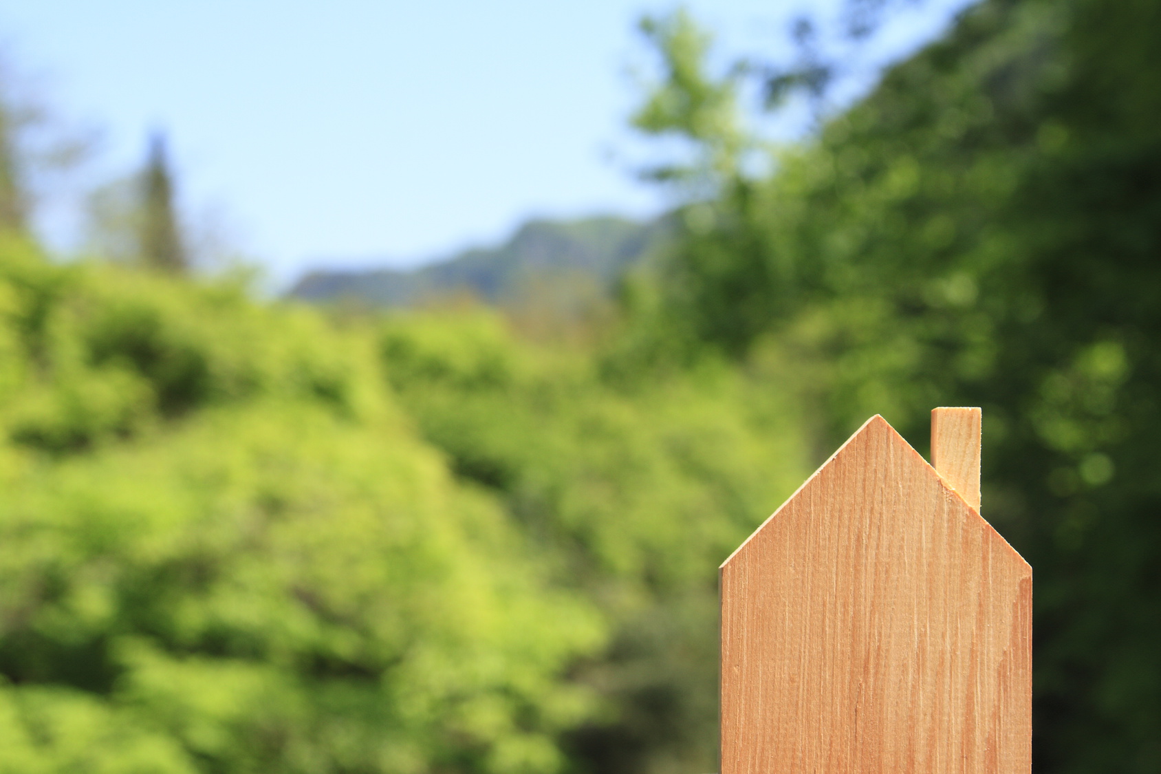 中高層木造建築普及の課題：森林・林業の現状