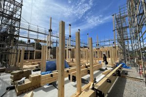 木材利用促進のための建築基準の合理化が加速！建築基準法改正の要点