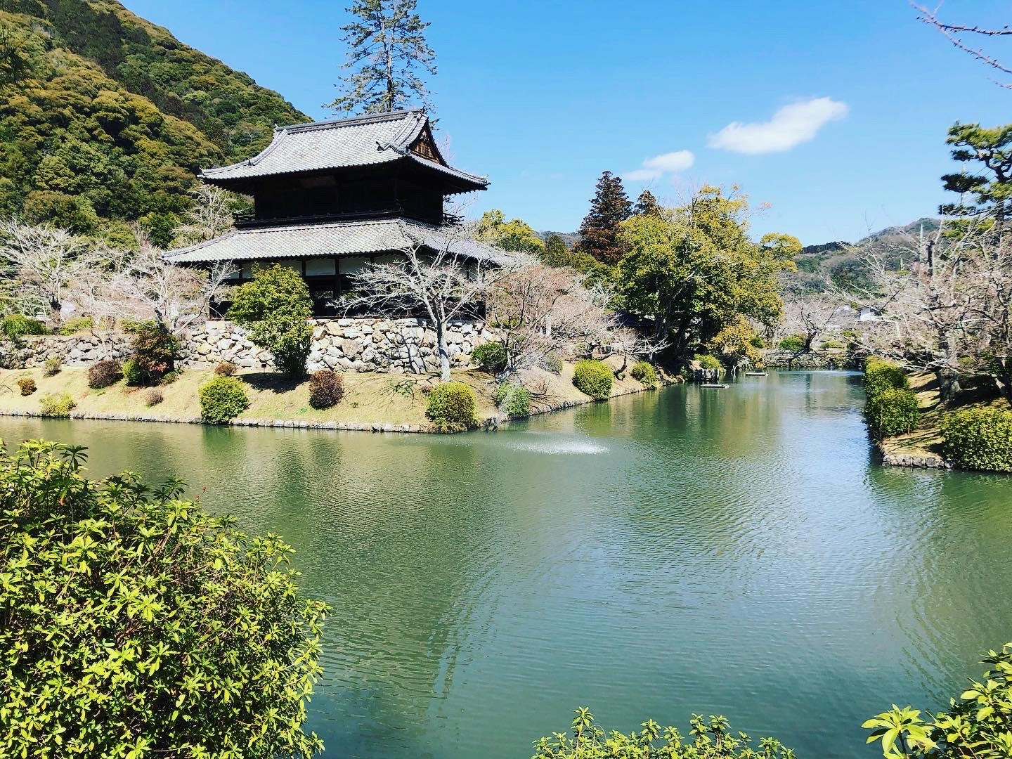 山口県の「やまぐち建築物木造化推進協定制度」