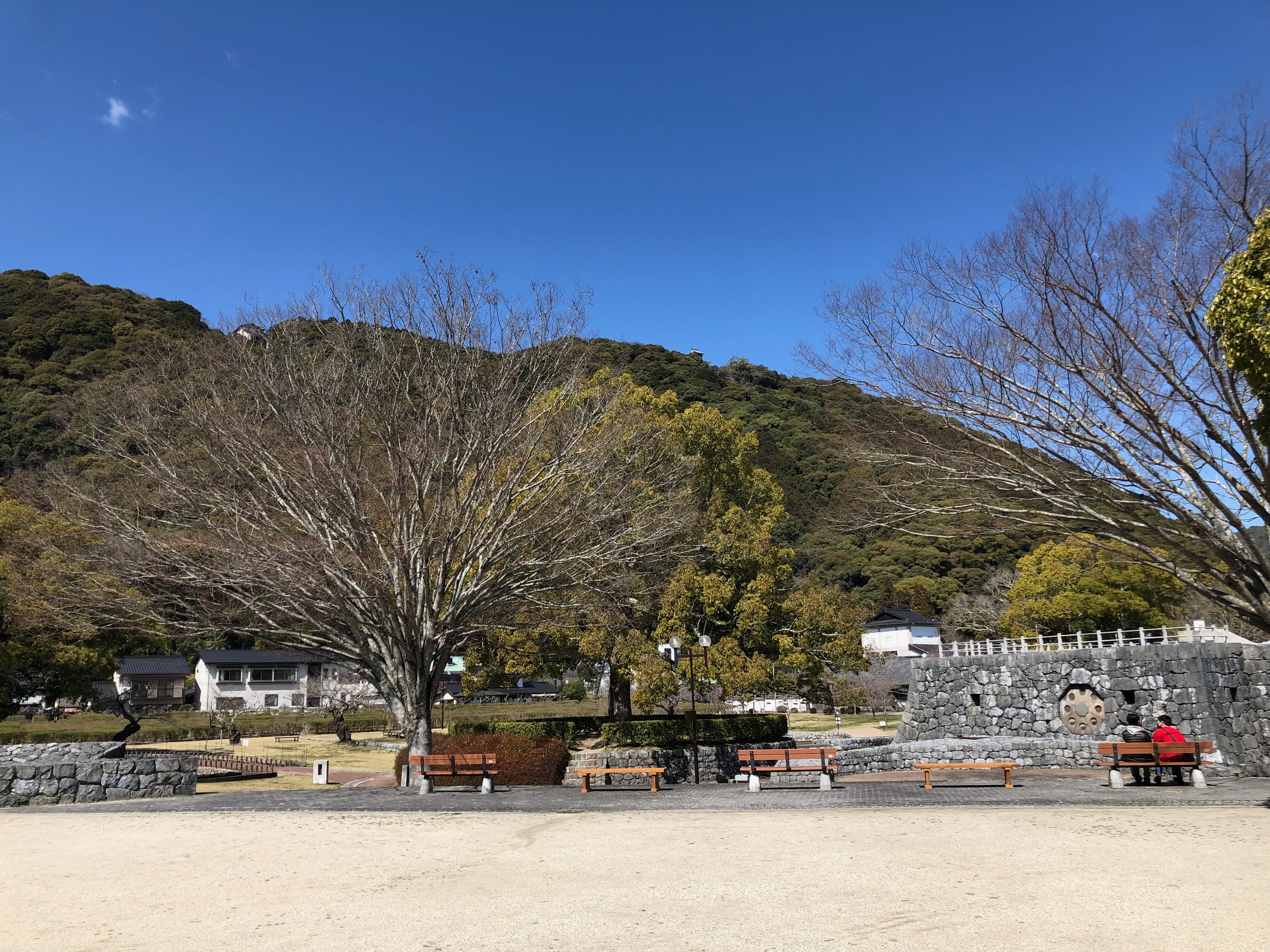 中大規模木造の普及が進む山口県の木材（県産材）の概要