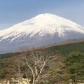 【静岡県】中大規模木造の実務ポイントとSE構法事例まとめ