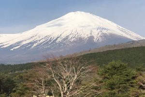 【静岡県】中大規模木造の実務ポイントとSE構法事例まとめ