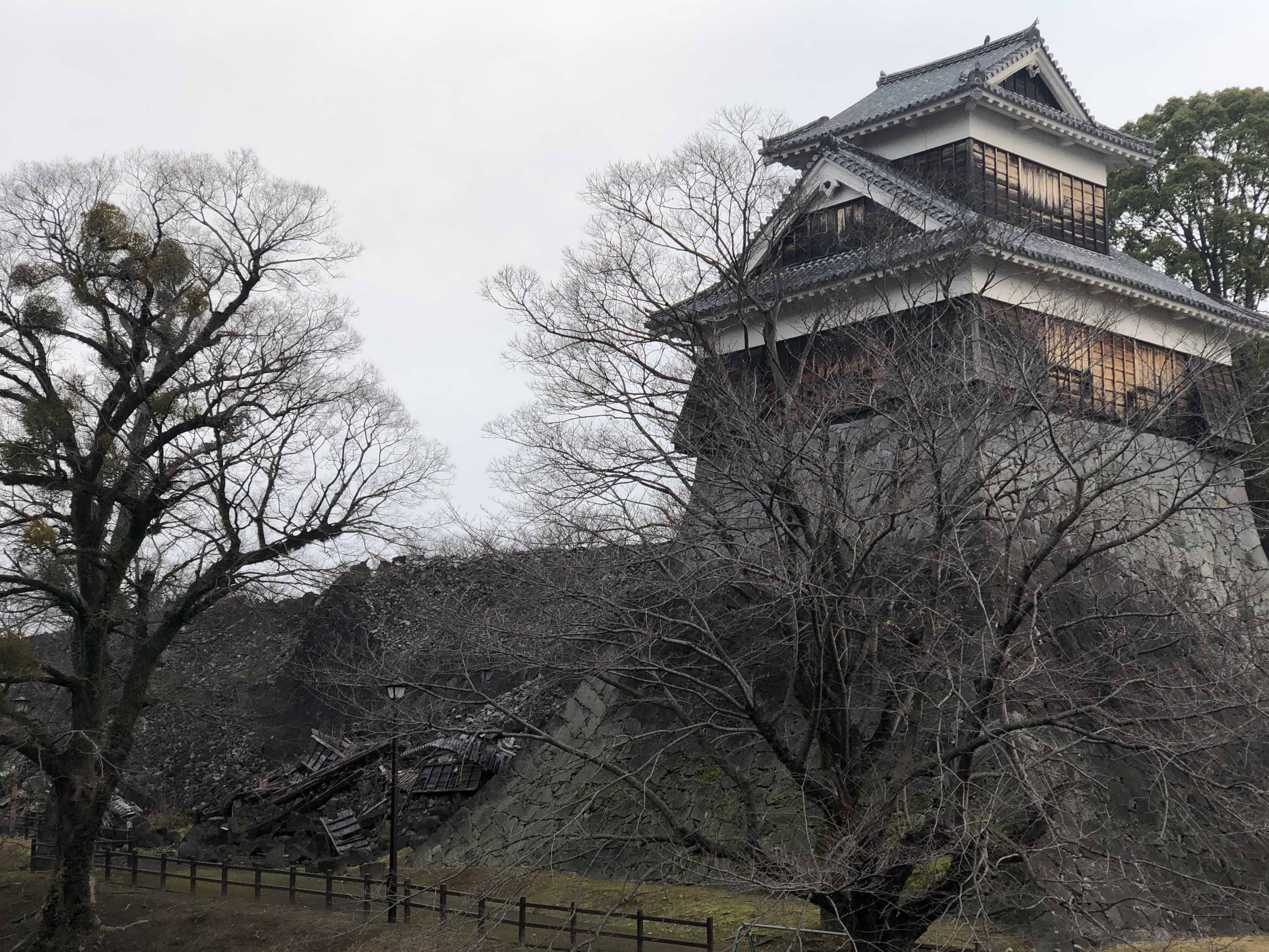 熊本県の「熊本県建築物等木材利用促進基本方針」