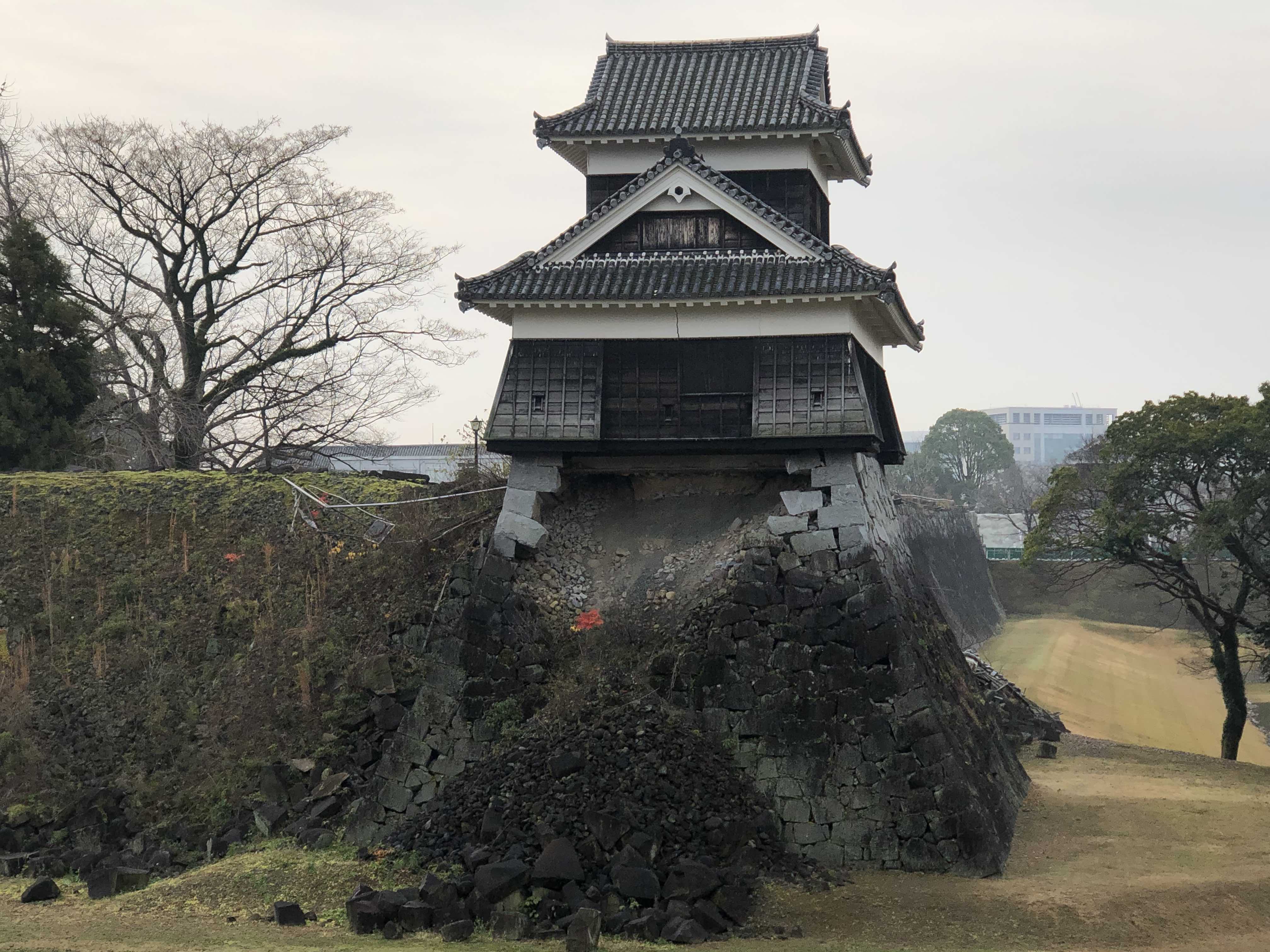 中大規模木造の普及が進む熊本県の特徴