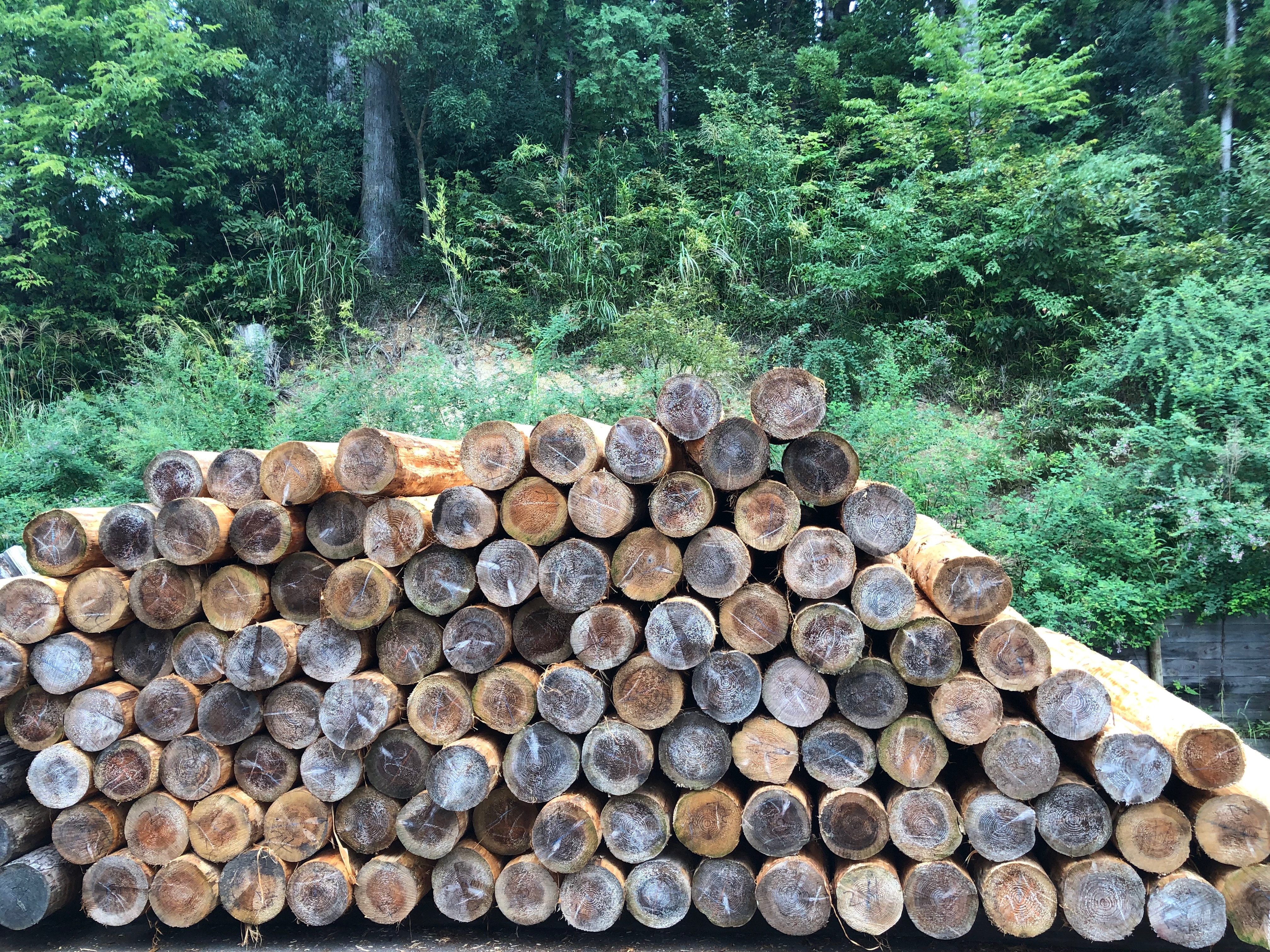愛知県の「木材利用の促進に関する基本計画」