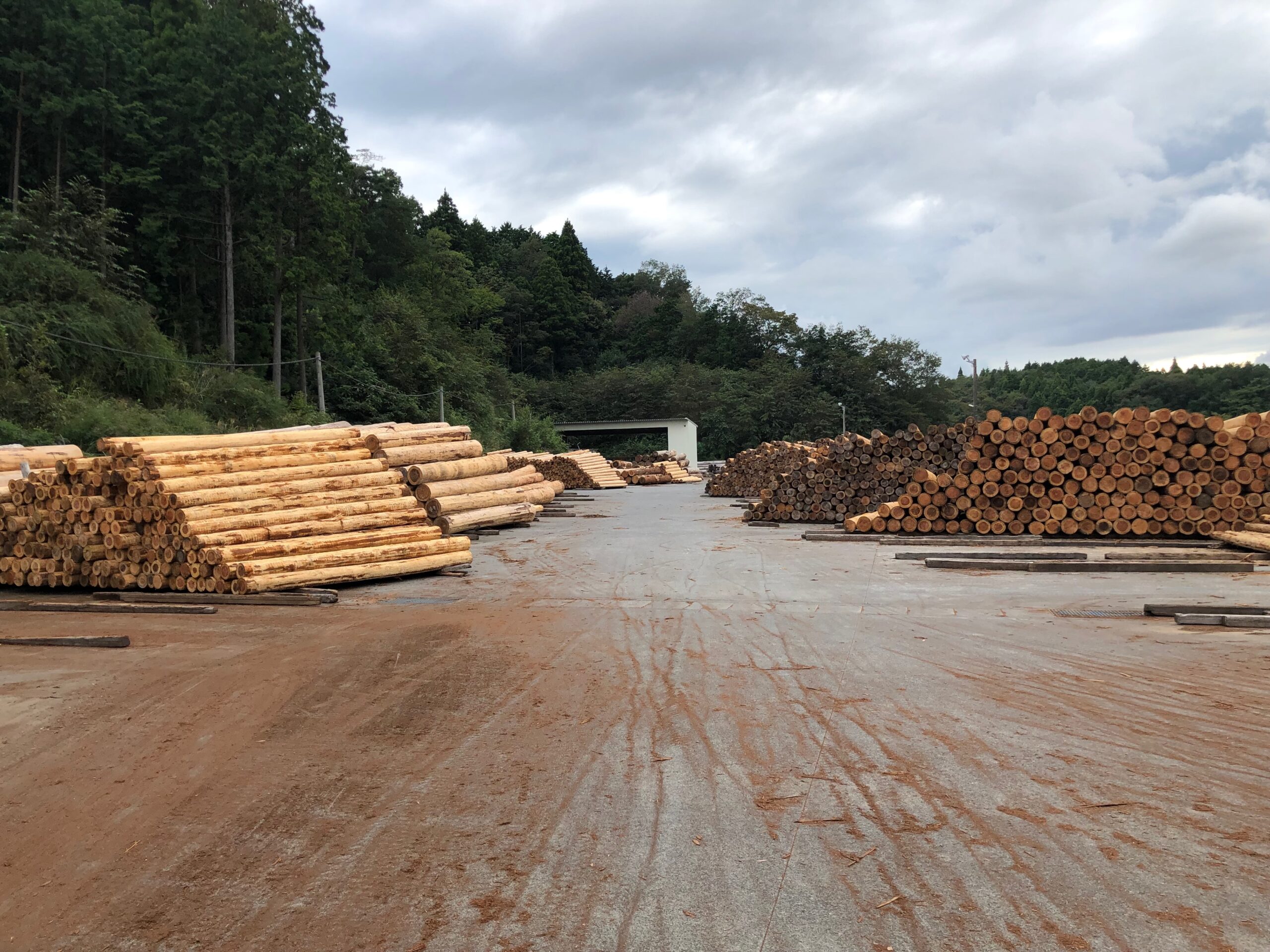 中大規模木造の普及が進む群馬県の特徴
