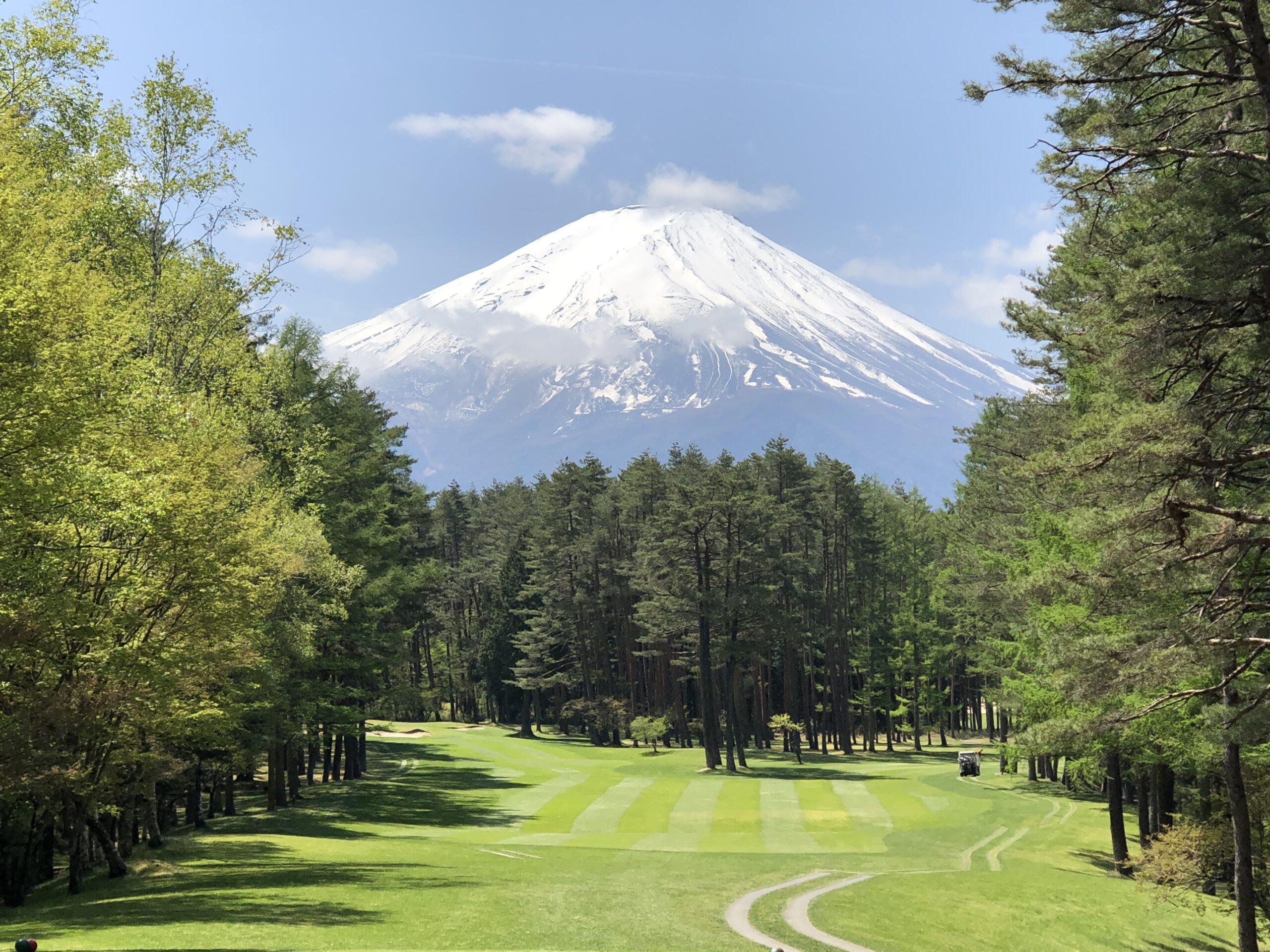 中大規模木造の普及が進む山梨県の特徴