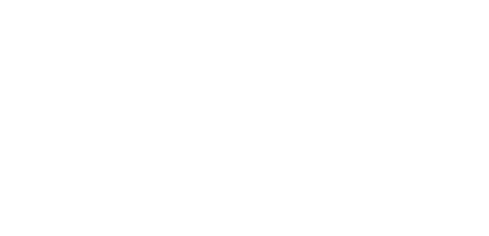 TIMBER STRUCTURE LAB.